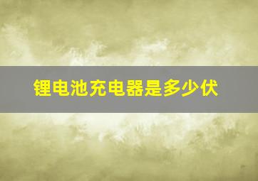 锂电池充电器是多少伏