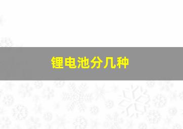 锂电池分几种