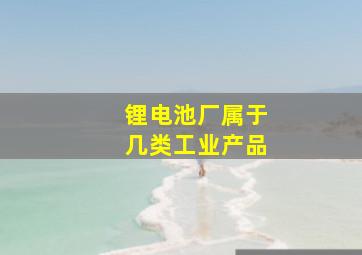 锂电池厂属于几类工业产品