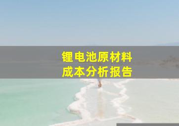 锂电池原材料成本分析报告