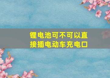 锂电池可不可以直接插电动车充电口