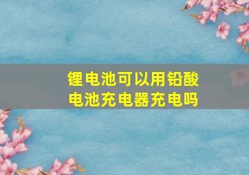 锂电池可以用铅酸电池充电器充电吗