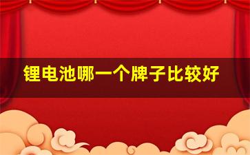 锂电池哪一个牌子比较好