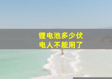 锂电池多少伏电人不能用了