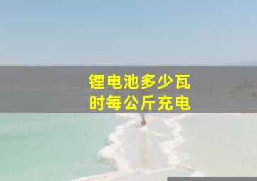 锂电池多少瓦时每公斤充电