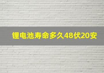 锂电池寿命多久48伏20安