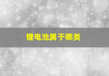 锂电池属于哪类