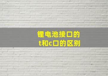 锂电池接口的t和c口的区别