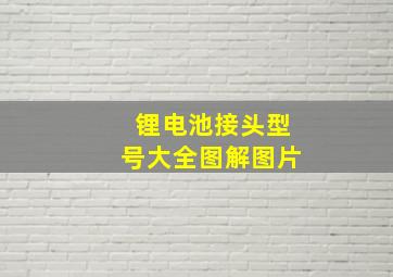 锂电池接头型号大全图解图片