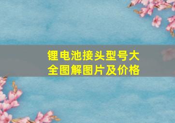 锂电池接头型号大全图解图片及价格