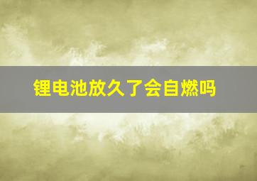 锂电池放久了会自燃吗