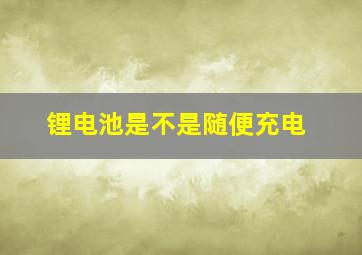 锂电池是不是随便充电