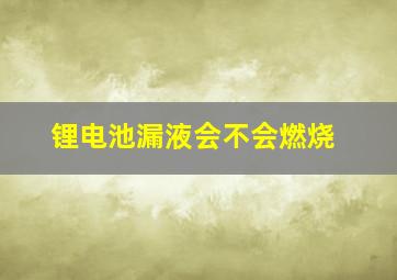 锂电池漏液会不会燃烧