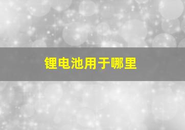 锂电池用于哪里