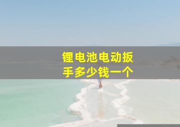 锂电池电动扳手多少钱一个