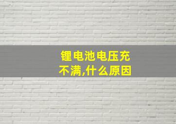 锂电池电压充不满,什么原因