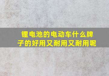 锂电池的电动车什么牌子的好用又耐用又耐用呢