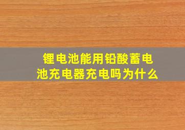 锂电池能用铅酸蓄电池充电器充电吗为什么