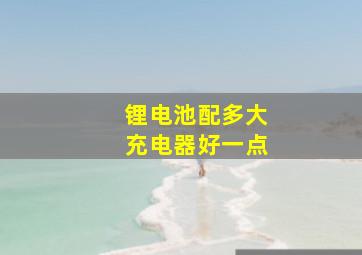 锂电池配多大充电器好一点