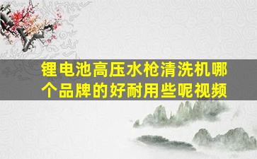 锂电池高压水枪清洗机哪个品牌的好耐用些呢视频