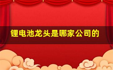 锂电池龙头是哪家公司的