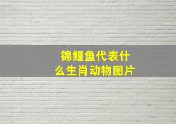 锦鲤鱼代表什么生肖动物图片