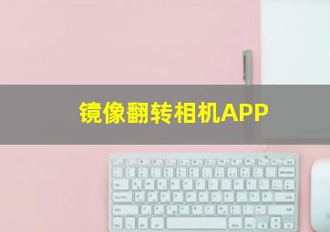 镜像翻转相机APP