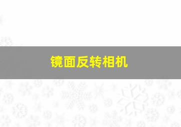 镜面反转相机