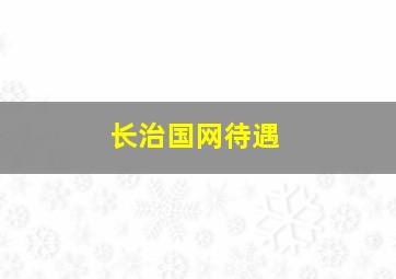 长治国网待遇