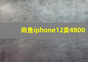 闲鱼iphone12卖4800