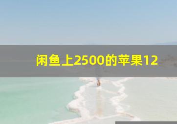 闲鱼上2500的苹果12