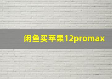 闲鱼买苹果12promax