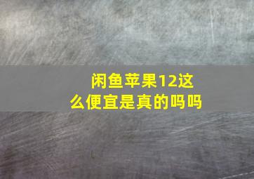 闲鱼苹果12这么便宜是真的吗吗