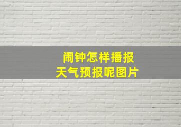 闹钟怎样播报天气预报呢图片