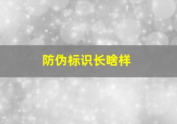 防伪标识长啥样