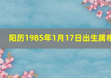 阳历1985年1月17日出生属相