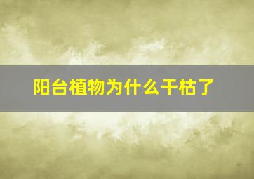 阳台植物为什么干枯了