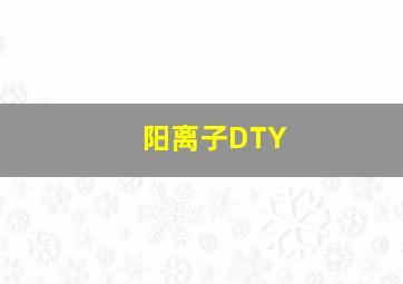 阳离子DTY