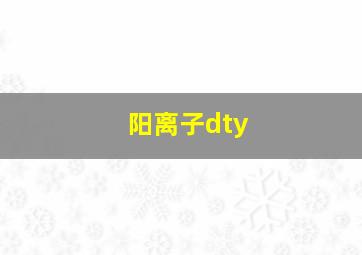 阳离子dty