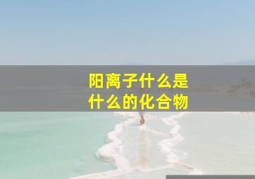 阳离子什么是什么的化合物