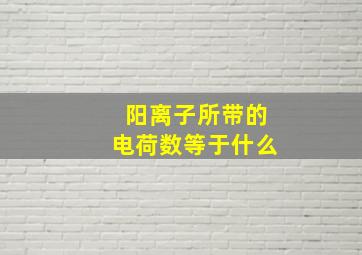 阳离子所带的电荷数等于什么