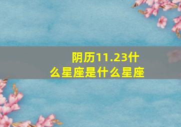 阴历11.23什么星座是什么星座