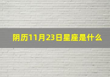 阴历11月23日星座是什么