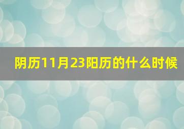 阴历11月23阳历的什么时候