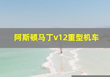 阿斯顿马丁v12重型机车