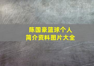 陈国豪篮球个人简介资料图片大全