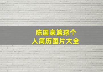 陈国豪篮球个人简历图片大全