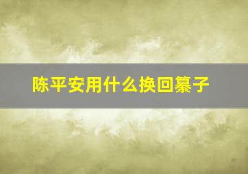 陈平安用什么换回纂子