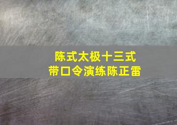 陈式太极十三式带口令演练陈正雷