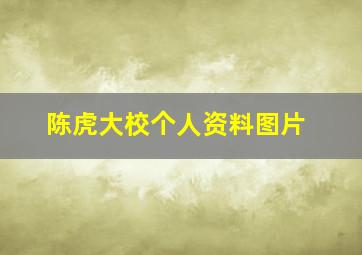 陈虎大校个人资料图片